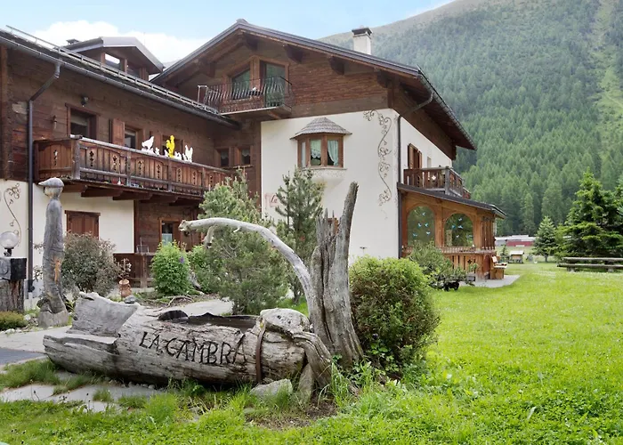 Larice Cambra Livigno